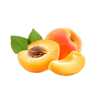 Apricot