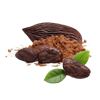 Cocoa