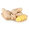 Ginger